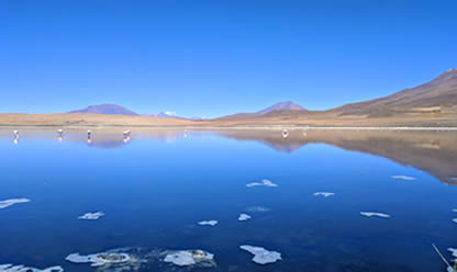 Tour a BOLIVIA FUGAZ DESDE PUNO 2026 en español | Tours a Sudamerica