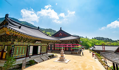 Viajes a SABORES Y COLORES DE COREA 2025 en español | Agencia de Viajes Festival