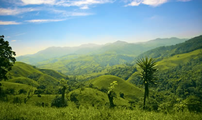 Viajes a GLAMPING EN EL BOSQUE NUBOSO 2026 en español | Agencia de Viajes Festival