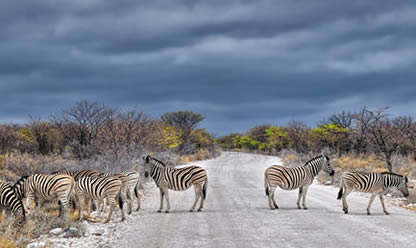 Tour a SCENIC NAMIBIA 2026 en español | Tours a Sudamerica