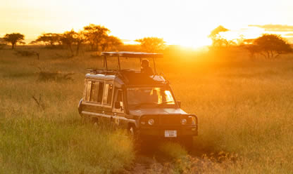 Viajes a TANZANIA Y KENIA 2026 en español | Agencia de Viajes Festival