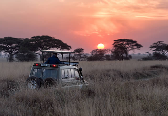 foto del tout a tanzania en español 2026-2027