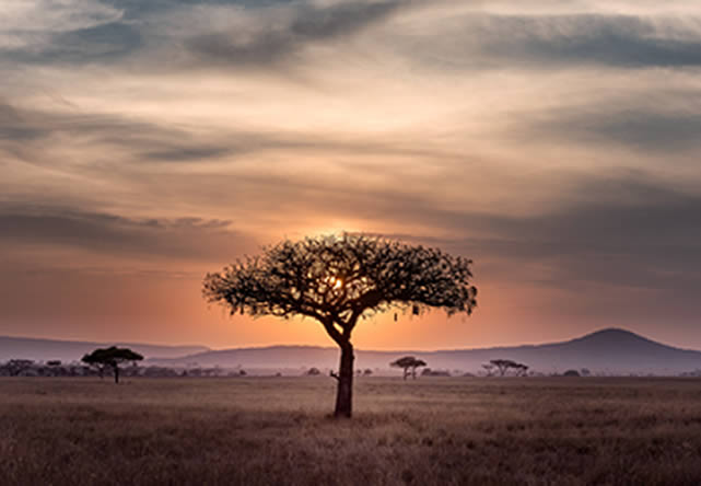 foto del tour a tanzania en español 2026-2027