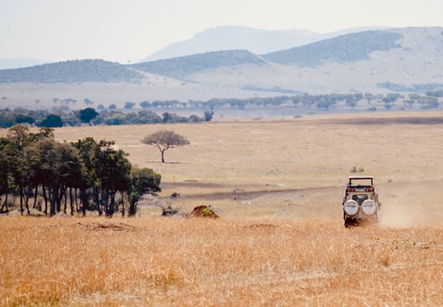 foto del tour a tanzania en español 2026-2027